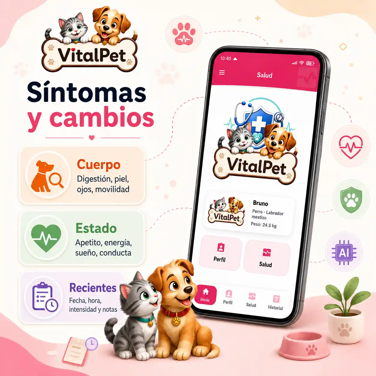 Creatividad de registro de síntomas VitalPet con pantalla real y cards de cuerpo, estado y recientes.
